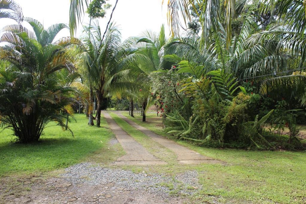 Villas Maria Luisa Uvita Exteriér fotografie