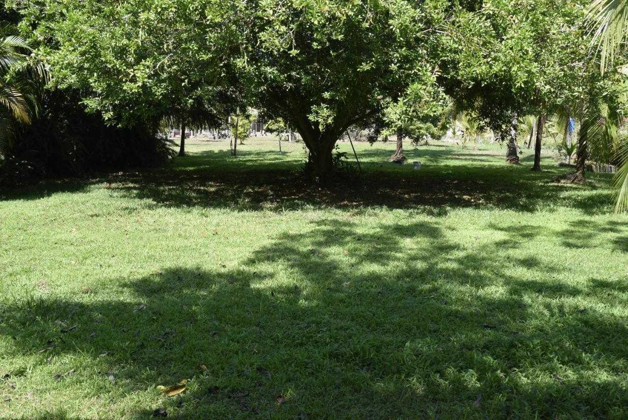 Villas Maria Luisa Uvita Exteriér fotografie